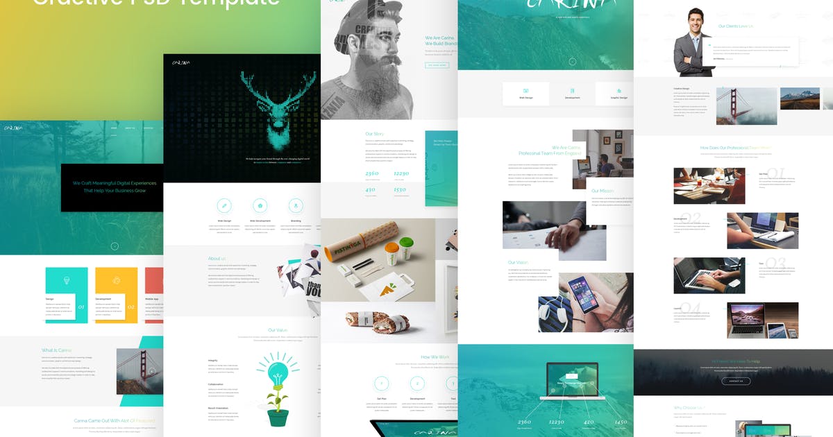 创意网站设计PSD模板大合集[2.65GB] Carina – Creative Multipurpose PSD Template插图