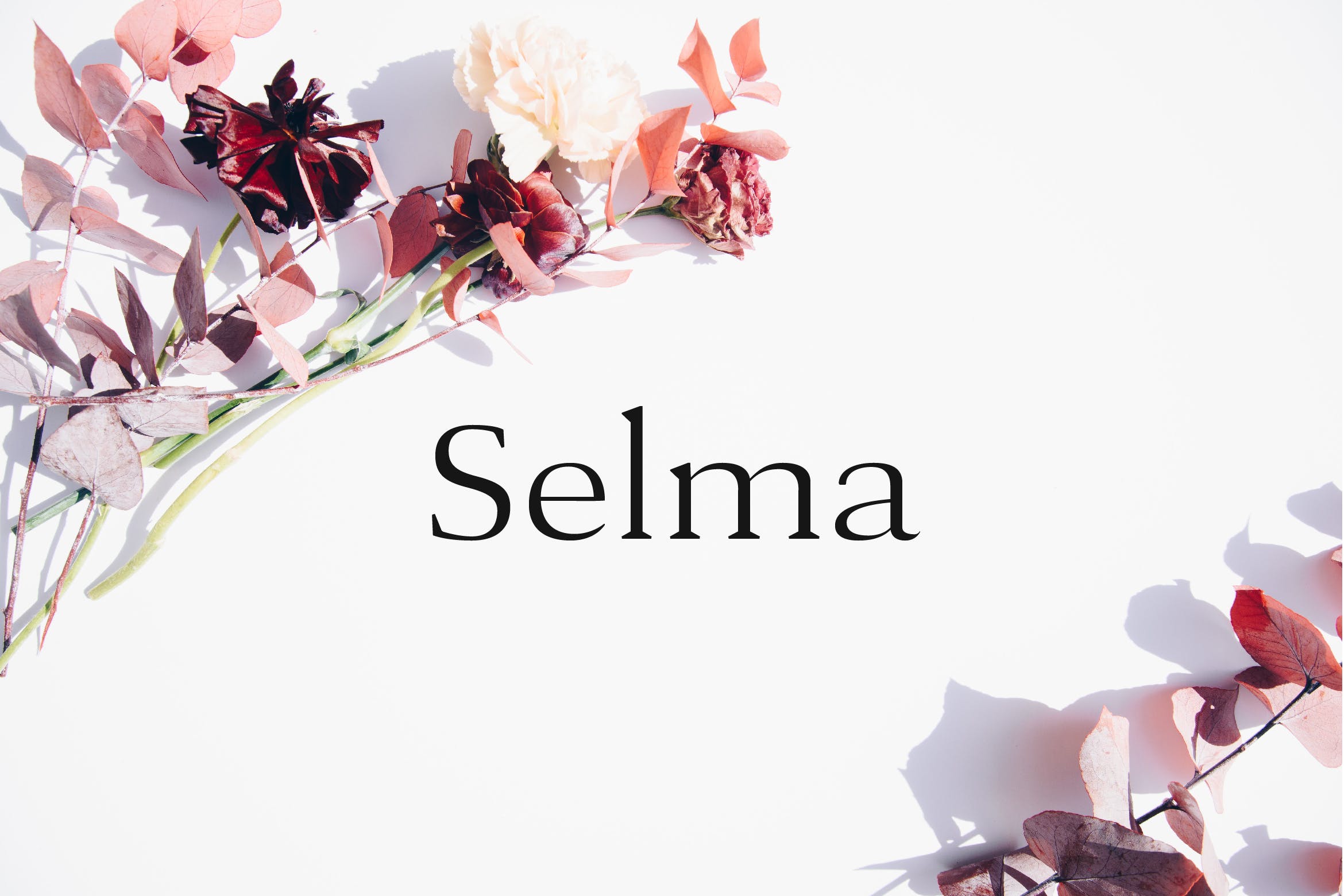 现代优雅英文衬线字体下载 Selma – A Classy Serif Typeface插图
