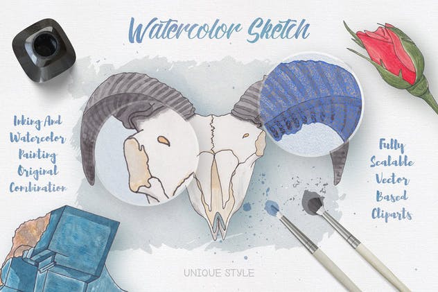 生物系列水彩手绘插画合集Vol.1 Watercolor Creatures vol. 1插图1