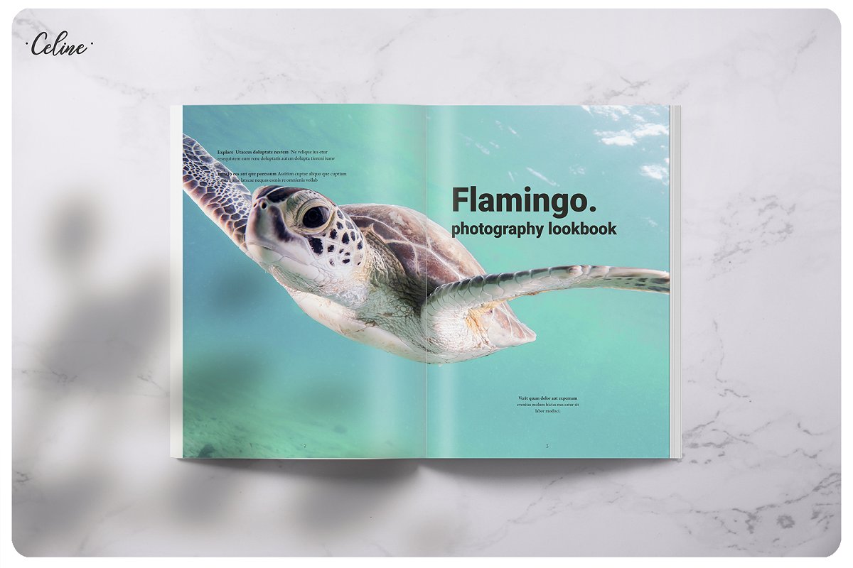 Flamingo时尚摄影杂志画册设计模板插图(7)