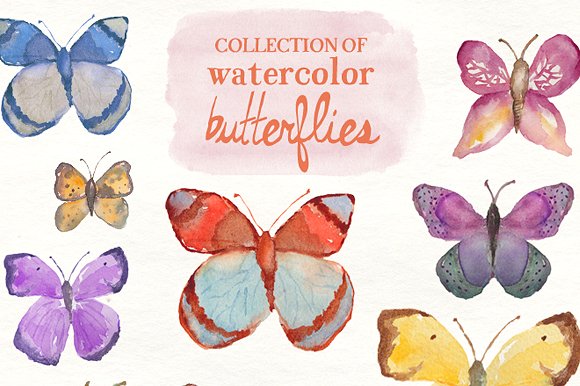 多种蝴蝶水彩剪贴画 Watercolor Butterflies插图
