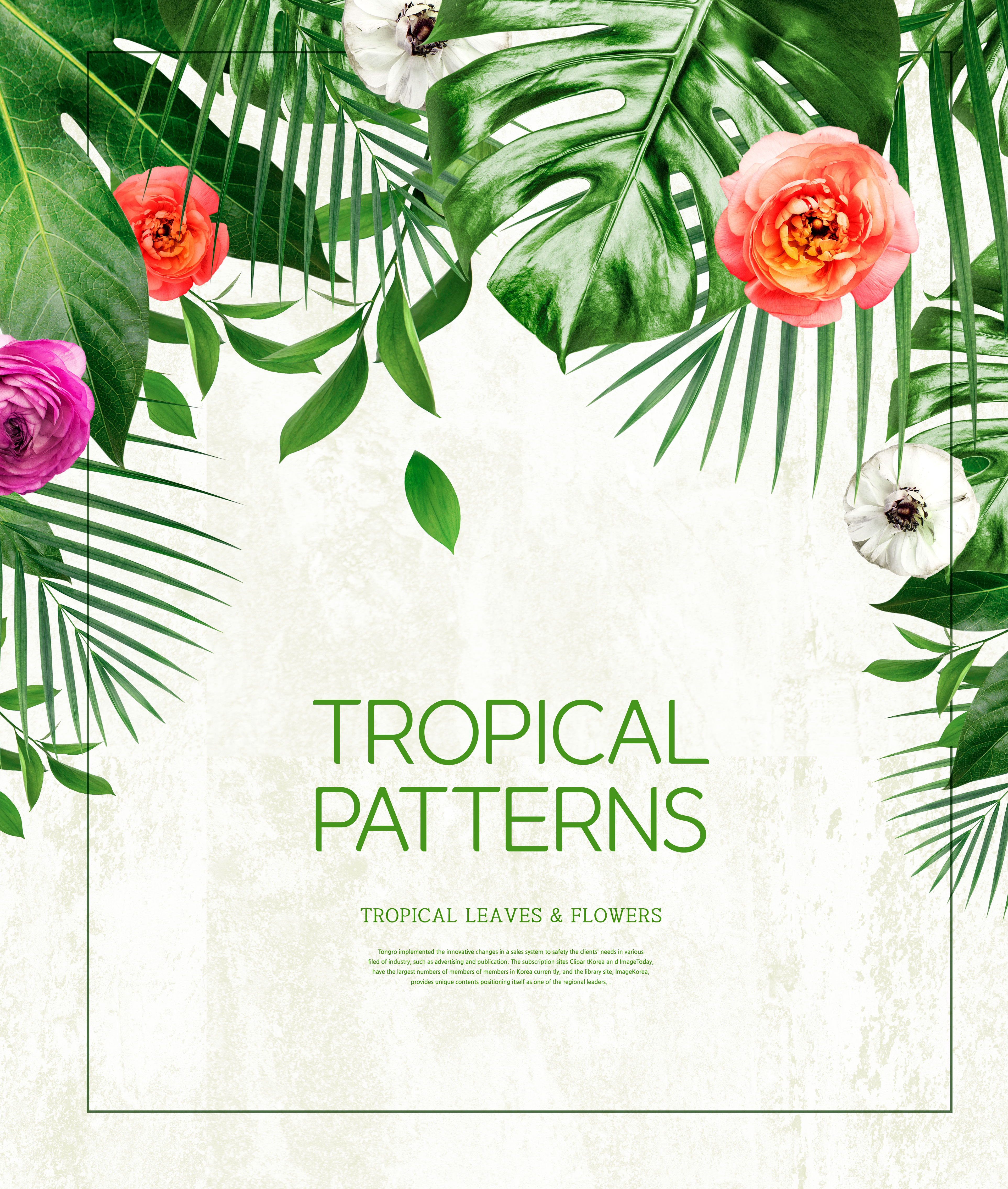 热带主题叶子&花卉图案海报设计素材插图(2)