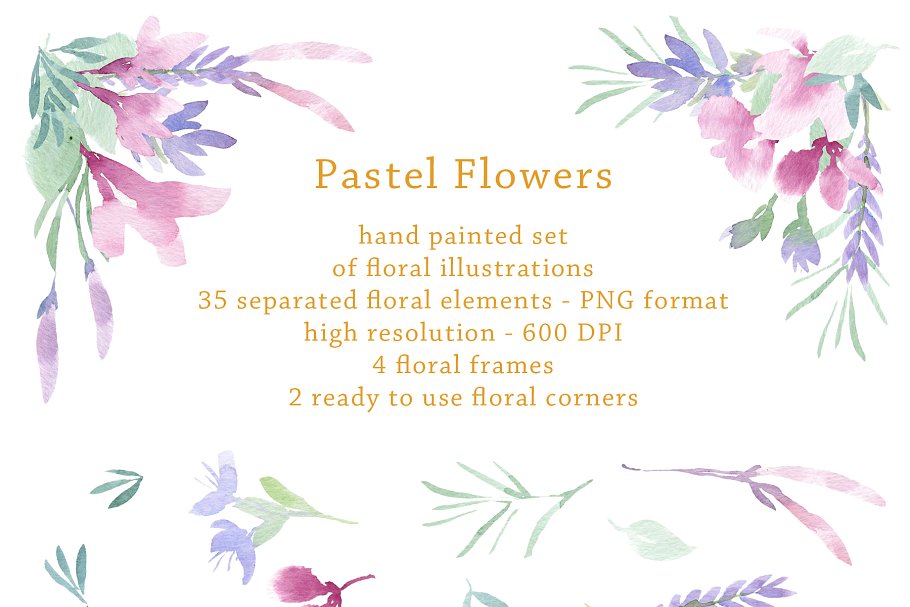 美丽浪漫的粉笔彩绘花卉树叶元素 Pastel Floral Set插图(1)