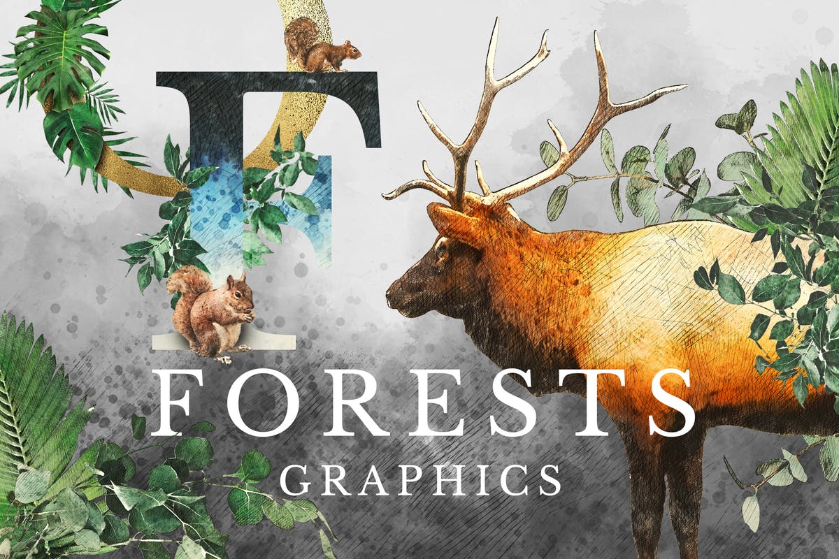 奇幻森林元素手绘插画元素合集 Forest Illustrations Graphics Kit插图