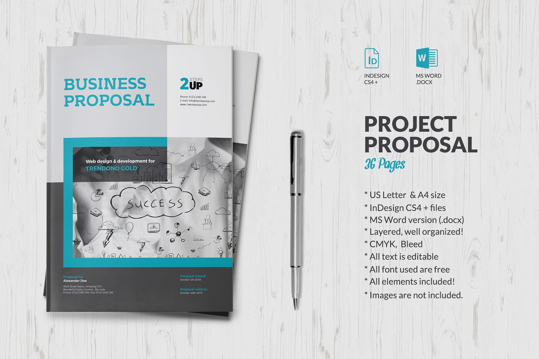 商业项目计划书手册模板 Proposal插图