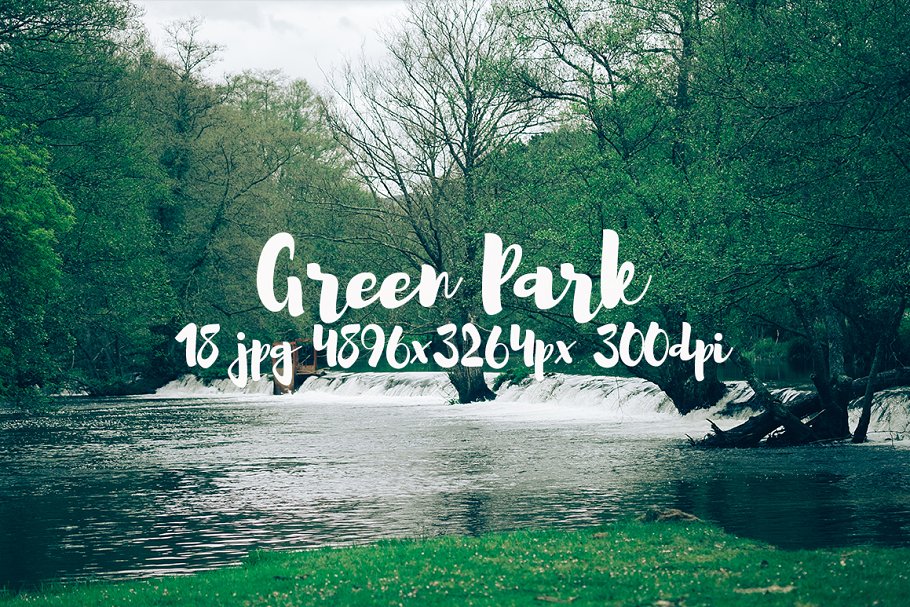 生机勃勃的公园景象高清照片素材 Green Park bundle插图17