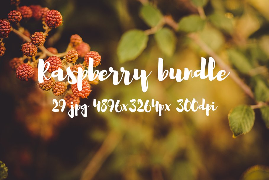 清新自然树莓高清图片素材 Raspberry photo pack插图8