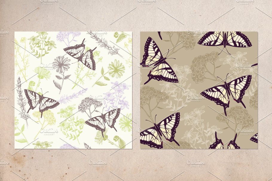 复古风格蝴蝶手绘插画 Vector Butterfly & Flowers Set插图(5)