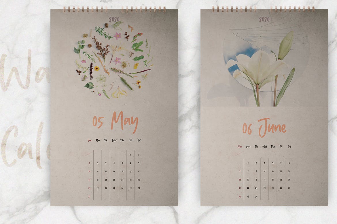 2020年植物花卉图案挂墙日历设计模板 Wall Calendar 2020 Layout插图3