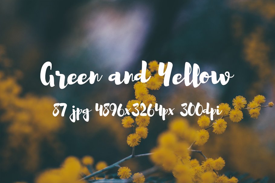 绿色和黄色植物花卉摄影照片集 Green and yellow photo pack插图11
