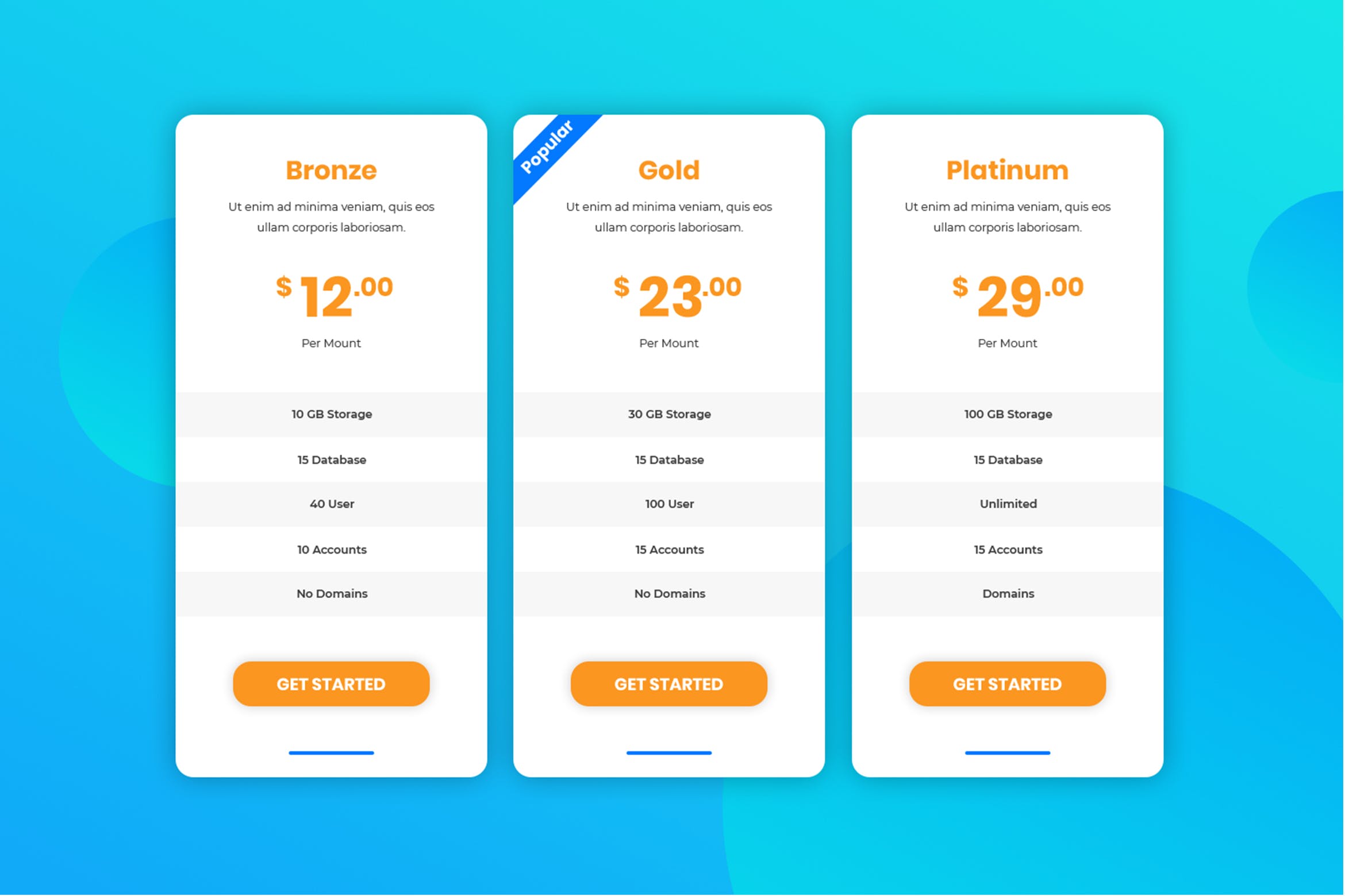 网站服务价格表单UI设计模板 Pricing Table插图