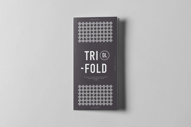 三折传单小册子样机模板 Tri-Fold DL Brochure Mock-up 3插图(5)