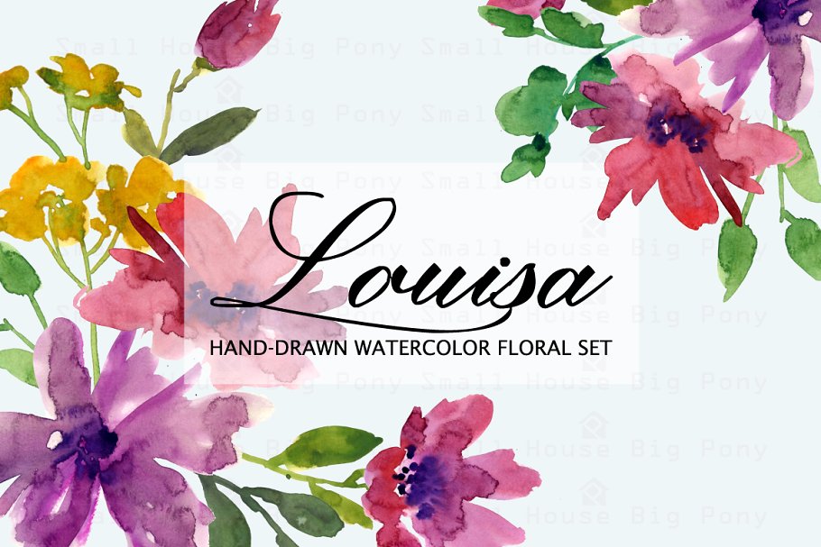 手绘水彩花卉剪贴画 Louisa- Watercolor Clip Art Set插图
