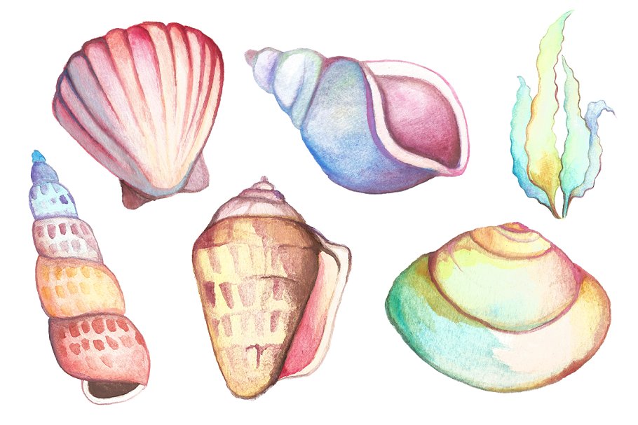 手绘水彩海洋生物设计元素 Watercolor Sea Life Clipart Bundle插图(4)