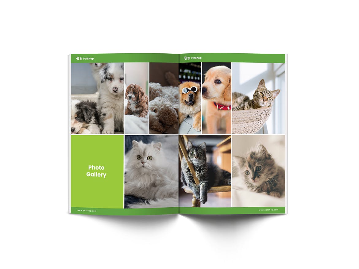 A4纸尺寸宠物医院/宠物店简介画册设计模板 Pet Shop A4 Brochure Template插图11