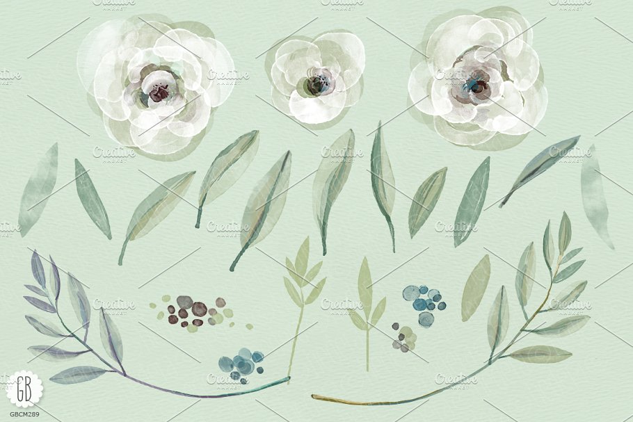 水彩白玫瑰和橄榄枝矢量图形 Watercolor white roses and olive插图(1)