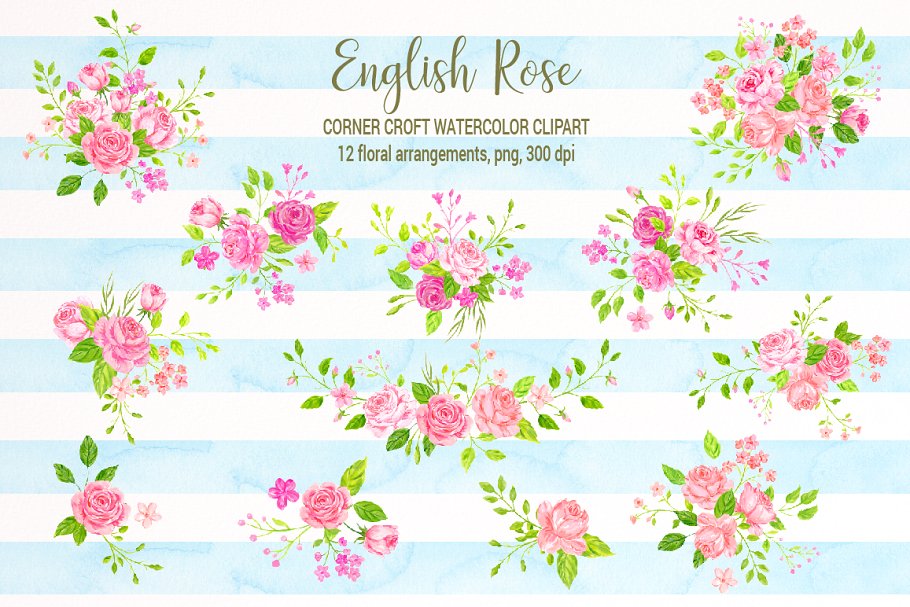 美丽浪漫的英国传统玫瑰剪贴画合集 Watercolor English Rose Clipart插图2