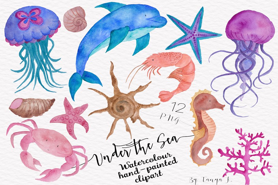 海洋生物水彩插画合集 Under the Sea Watercolor Collection插图