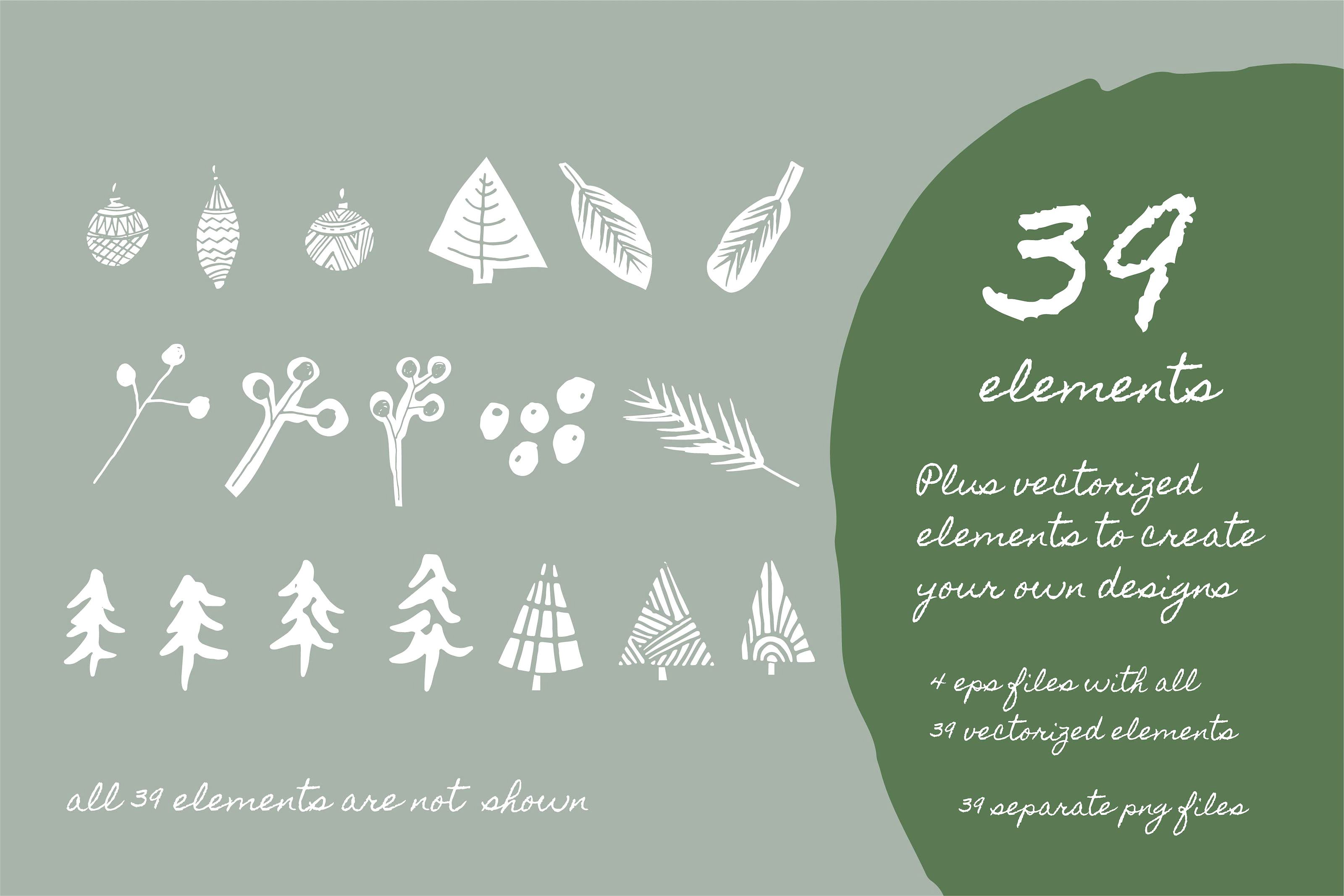 传统手绘节日植物元素 Traditional Holiday Patterns插图(4)