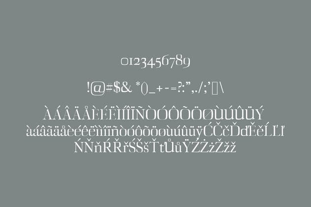 Diedra衬线字体系列字体家族 Diedra Serif Font Family Pack插图3