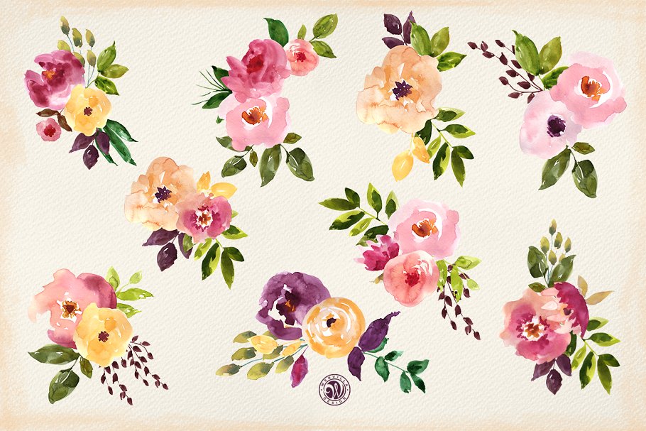 橘园水彩花卉剪贴画 Orangery Watercolor Flowers插图(2)