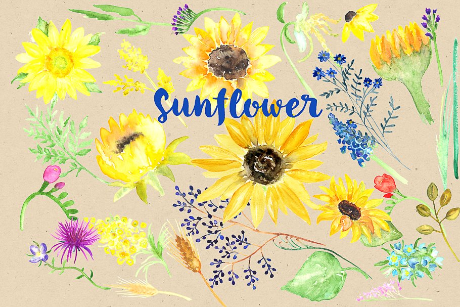 向日葵水彩剪贴画 Sunflower Watercolor Clipart插图2
