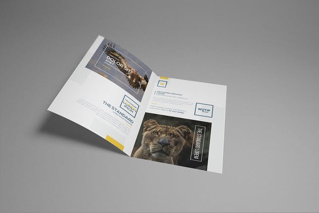 双折页A4规格企业品牌宣传册样机 Bi-Fold A4 Brochure Mockups插图(1)