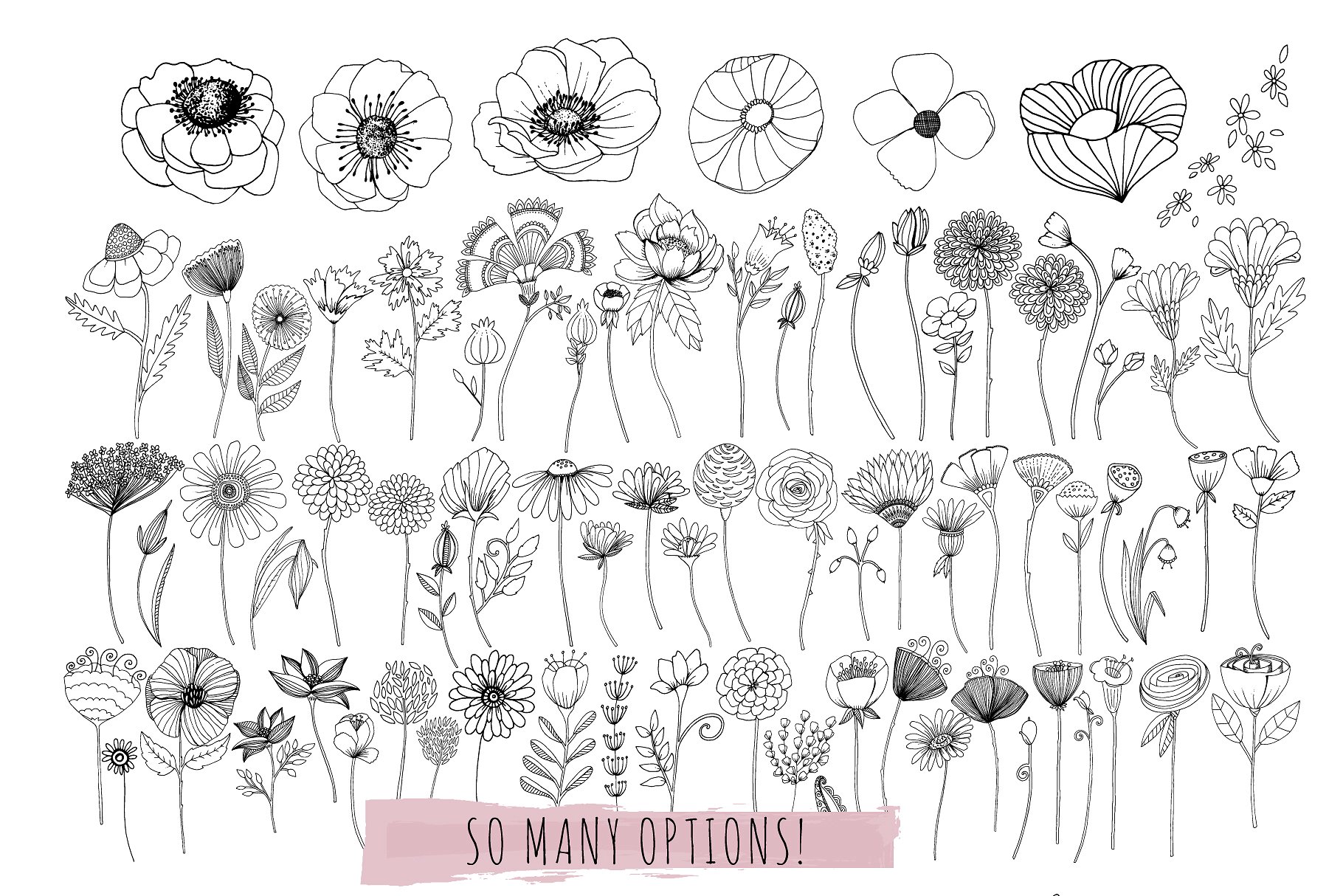 花卉艺术线条及花环素材 Flower Line Art & Floral Wreaths插图4