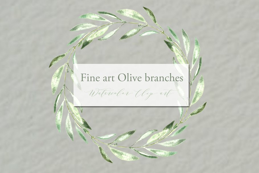 橄榄枝美术水彩剪贴画 Olive branches. Fine art Watercolor插图2
