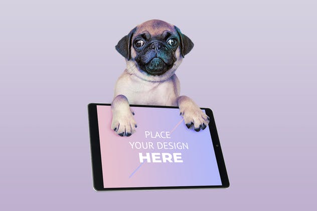 宠物主题网站设计演示电脑样机模板 Dog with Computer Mockup插图(1)