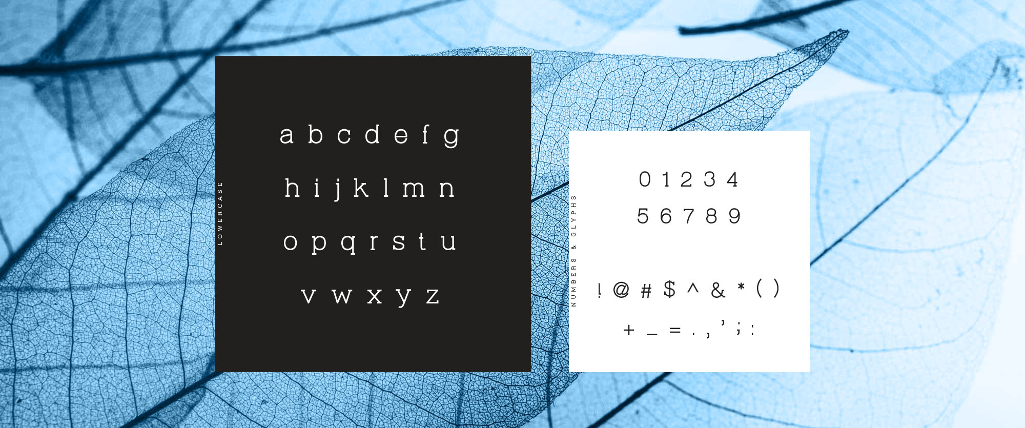 优秀网页设计排版英文衬线字体 Virtuous Slab Font插图(7)