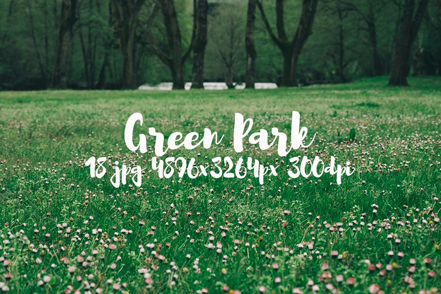 生机勃勃的公园景象高清照片素材 Green Park bundle插图(9)