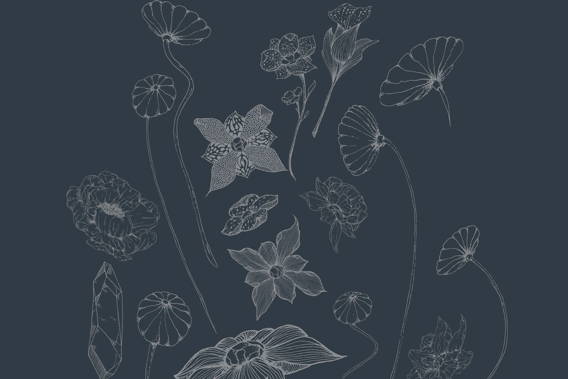 虚实结合黑色背景手绘矢量花卉图形素材 Black Orchid Illustration Set插图3