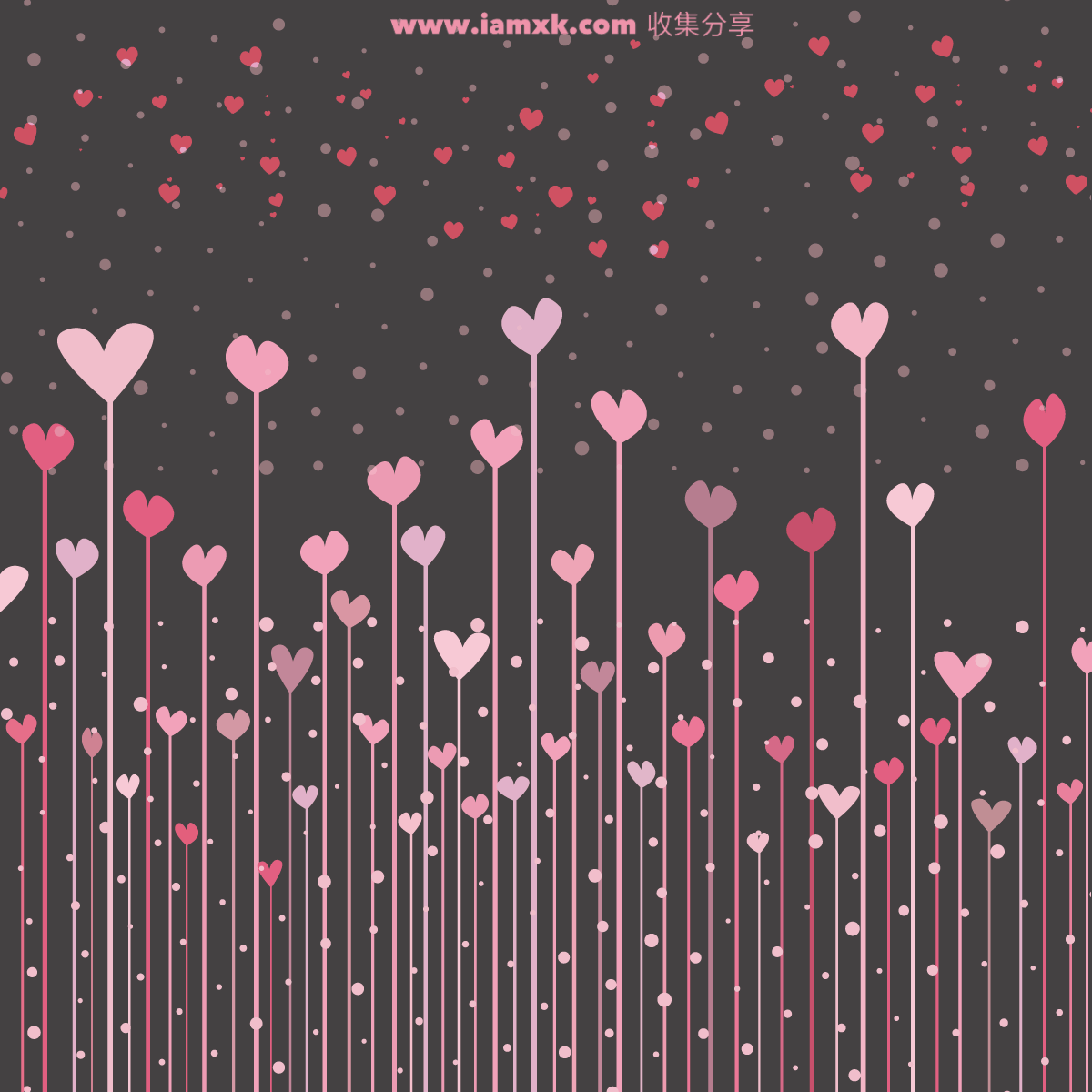 可爱的粉红爱心 Black background with pink hearts for valentine插图