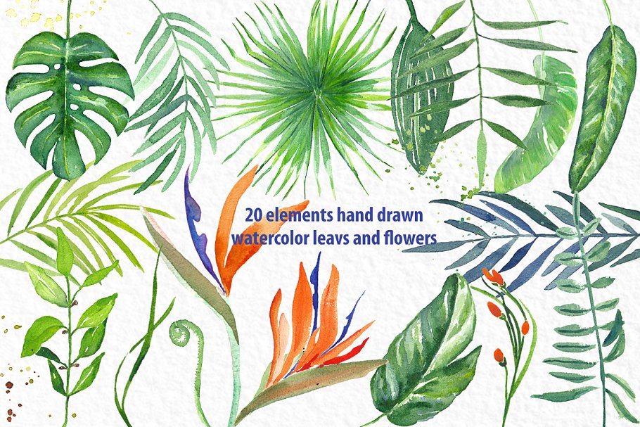 热带树叶树枝水彩画 Tropical leaves branches watercolors插图7