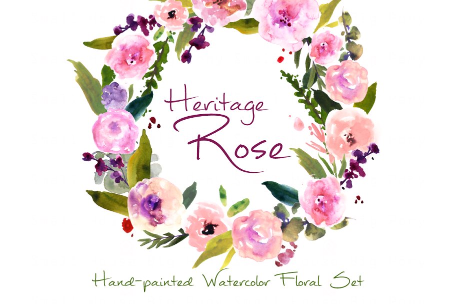 传统复古水彩玫瑰剪贴画合集 Heritage Rose- Watercolor Clip Art插图3
