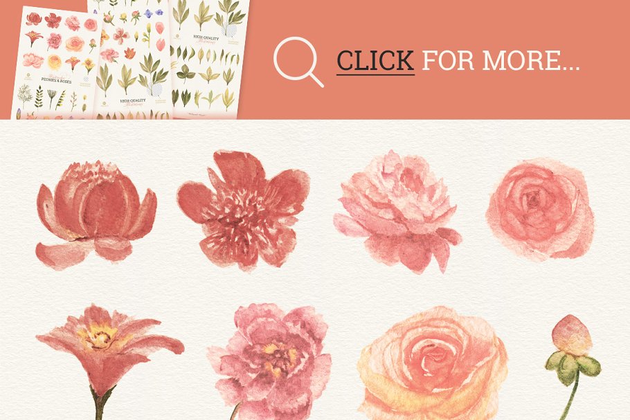 57款花卉插画元素 57 Floral elements & extrass插图(1)