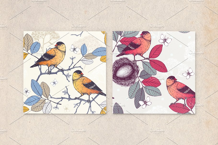 春季手绘小鸟自然元素 Hand Drawn Spring Birds Patterns插图(3)