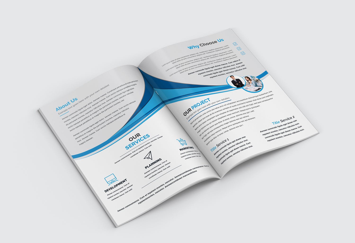 企业宣传画册/企业项目推介书设计模板 Bifold Brochure插图(10)