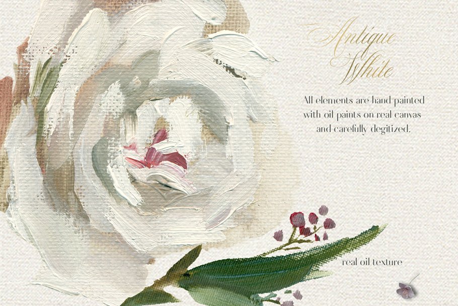 复古白色手绘花卉设计素材 Antique White Hand Painted Flowers插图(6)
