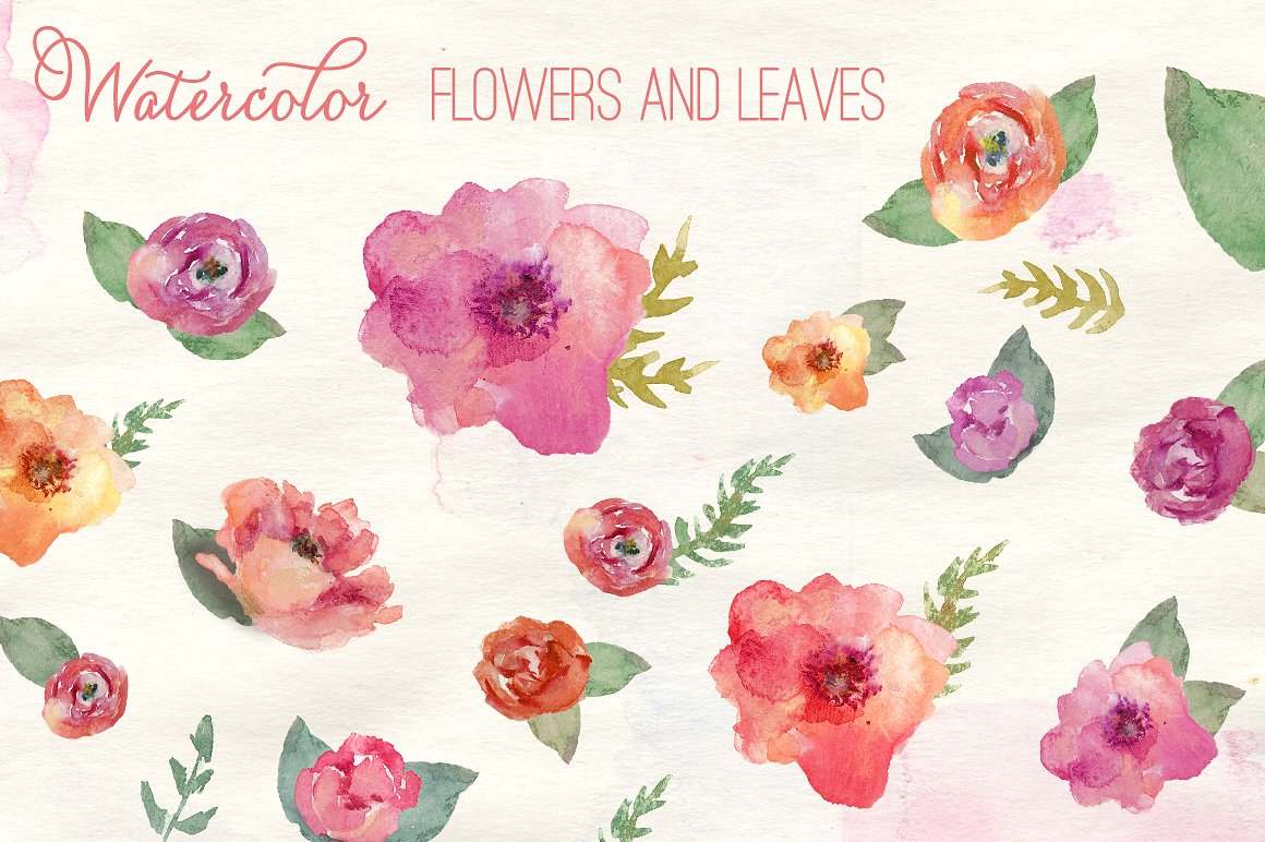 简约花卉和树叶水彩剪贴画 Watercolor Flowers插图