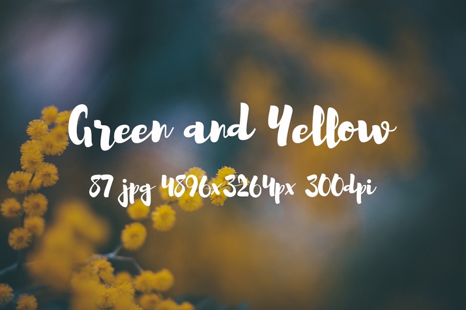 绿色和黄色植物花卉摄影照片集 Green and yellow photo pack插图7
