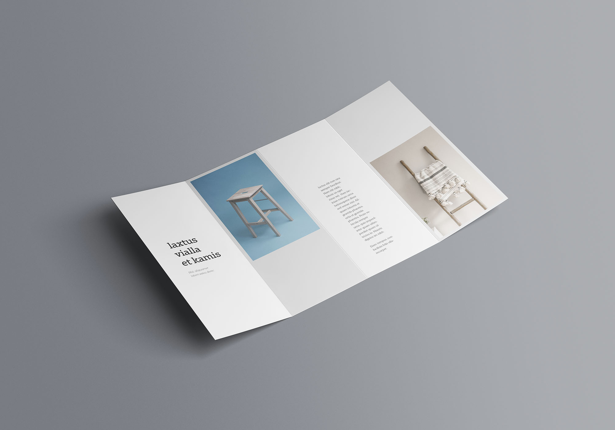 双门折叠宣传册设计效果图样机模板 Double Gatefold Brochure Mockup插图(2)