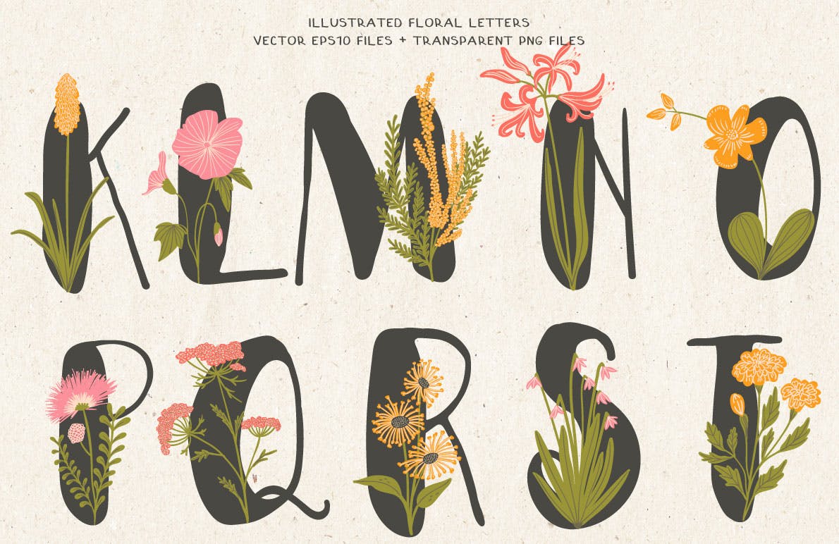 植物花卉装饰英文字母手绘素材 Floral Illustrated Alphabet插图(2)