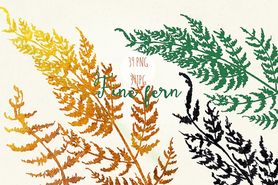 精美蕨类水彩水墨剪贴画合集 Fine ferns. watercolor clipart插图(3)