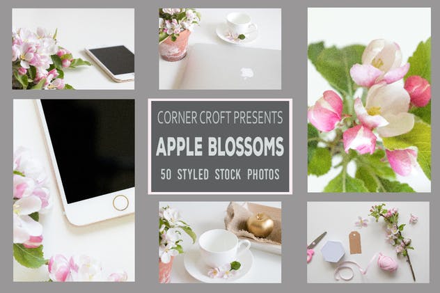 盛开的苹果花主题照片合集 Apple Blossom Styled Stock Photo Bundle插图(2)