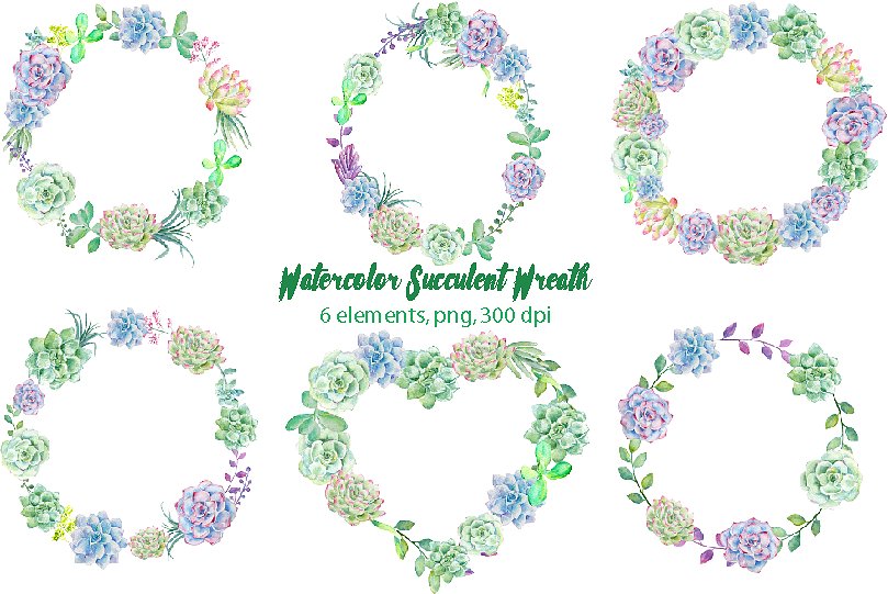 绚烂多彩花环水彩剪切画 Watercolor Succulent Wreaths插图1