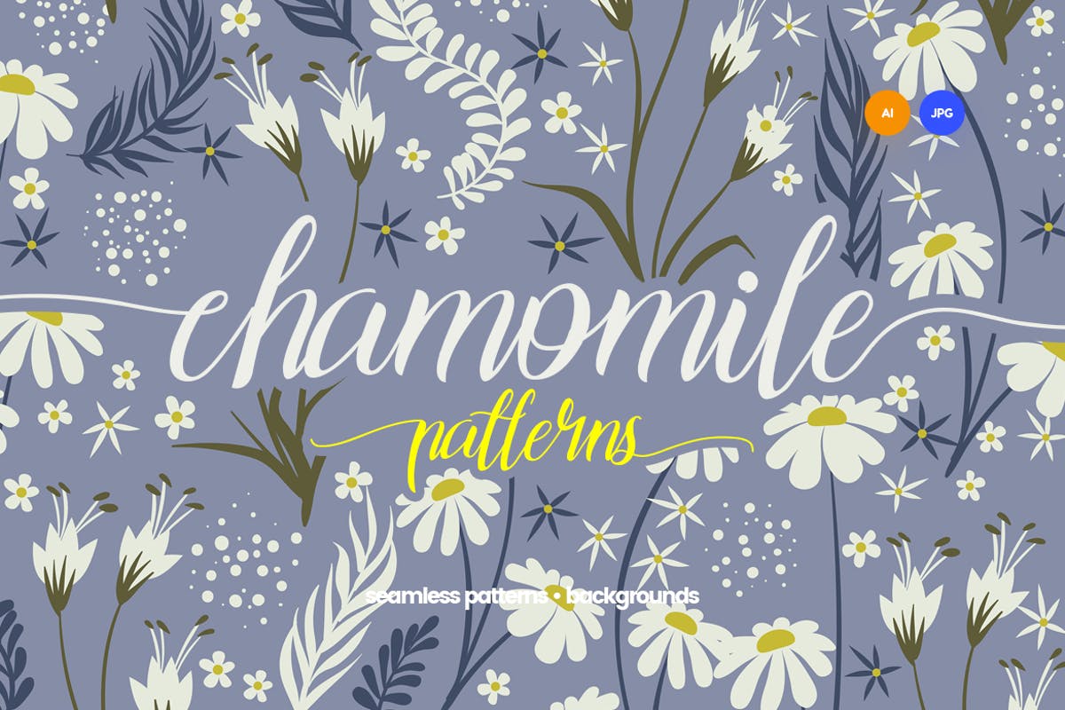 洋甘菊花卉无缝图案背景素材 Seamless Patterns Floral Chamomile Backgrounds插图