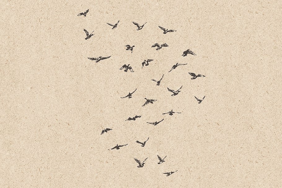 鸟群素描设计素材 Flocks of birds, sketch style插图1
