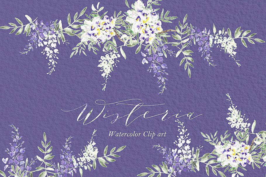 紫藤婚礼婚庆水彩画素材 Wisteria wedding watercolors插图(2)
